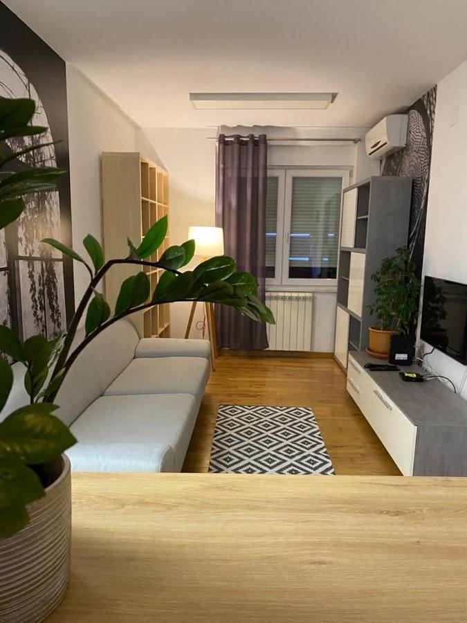 Benvenuti Apartments Belgrad Exterior foto